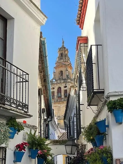 Apartamento Zoco Cordova