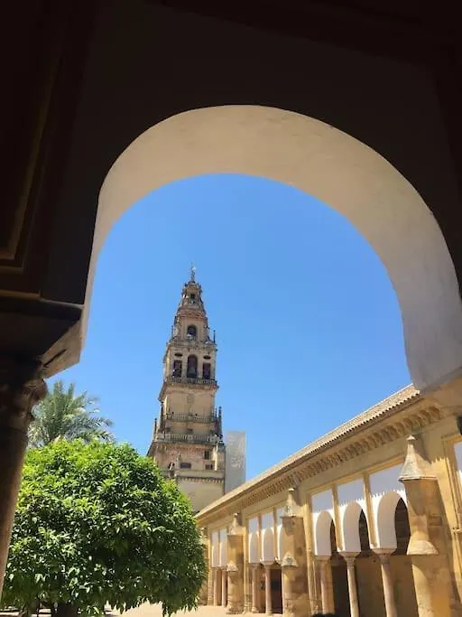 Appartamento Apartamento Zoco Cordova Spagna
