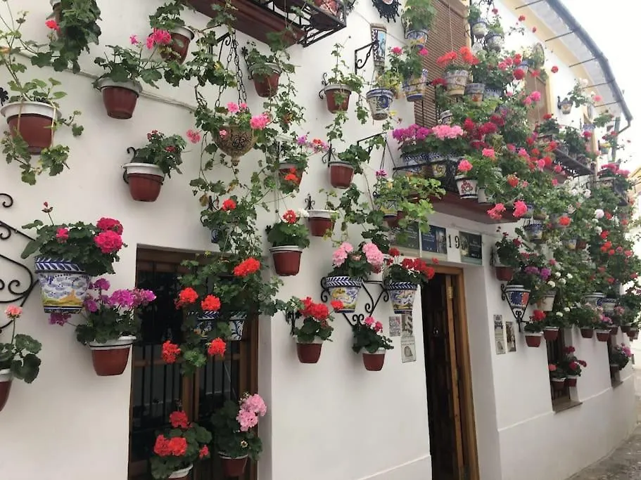 Lejlighed Apartamento Zoco Córdoba Spanien
